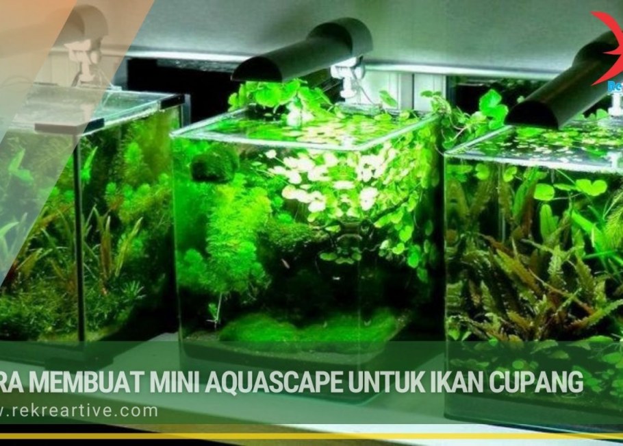 Нано травник аквариум