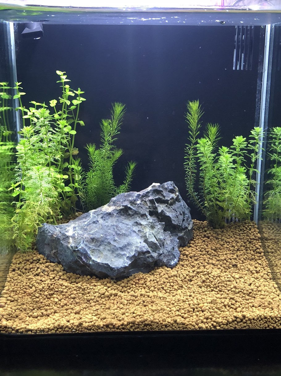 Аквадизайн на участке