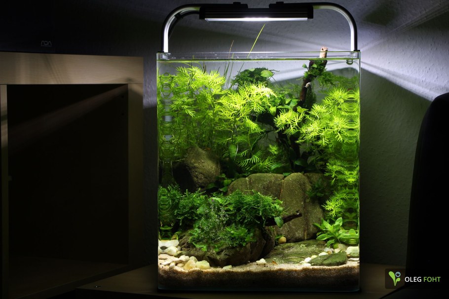 Нано акваскейп