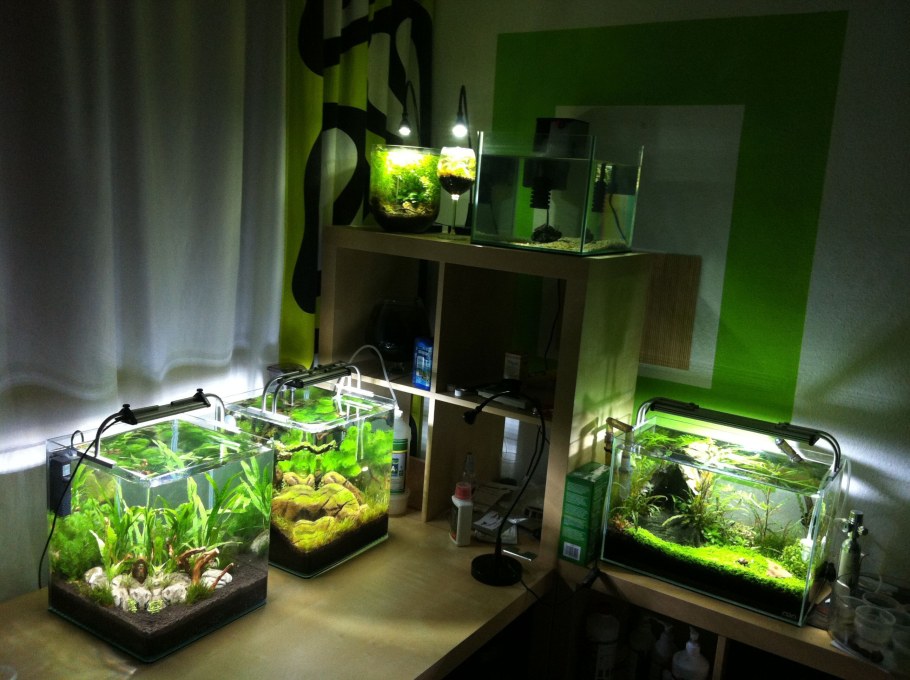 Нано акваскейп