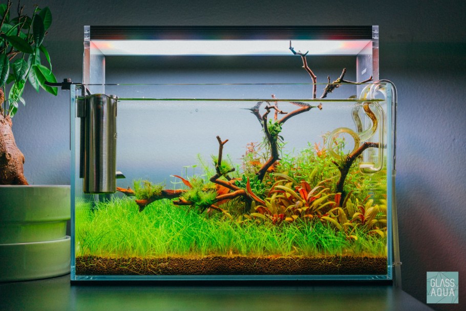 Акваскейп 40 литров