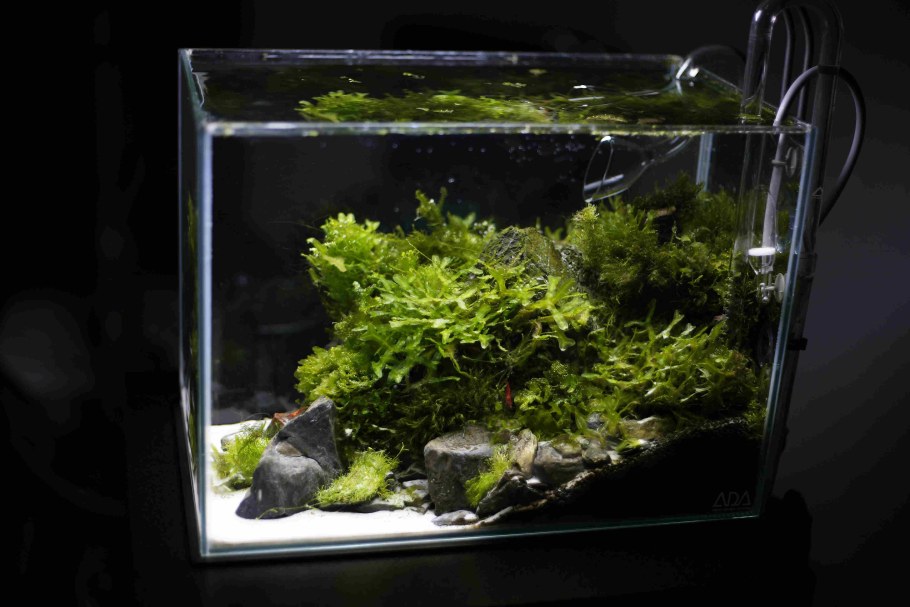 Акваскейпинг нано куб 30