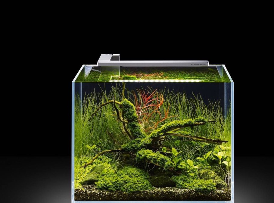 Аквариум Dennerle Nano Cube complete