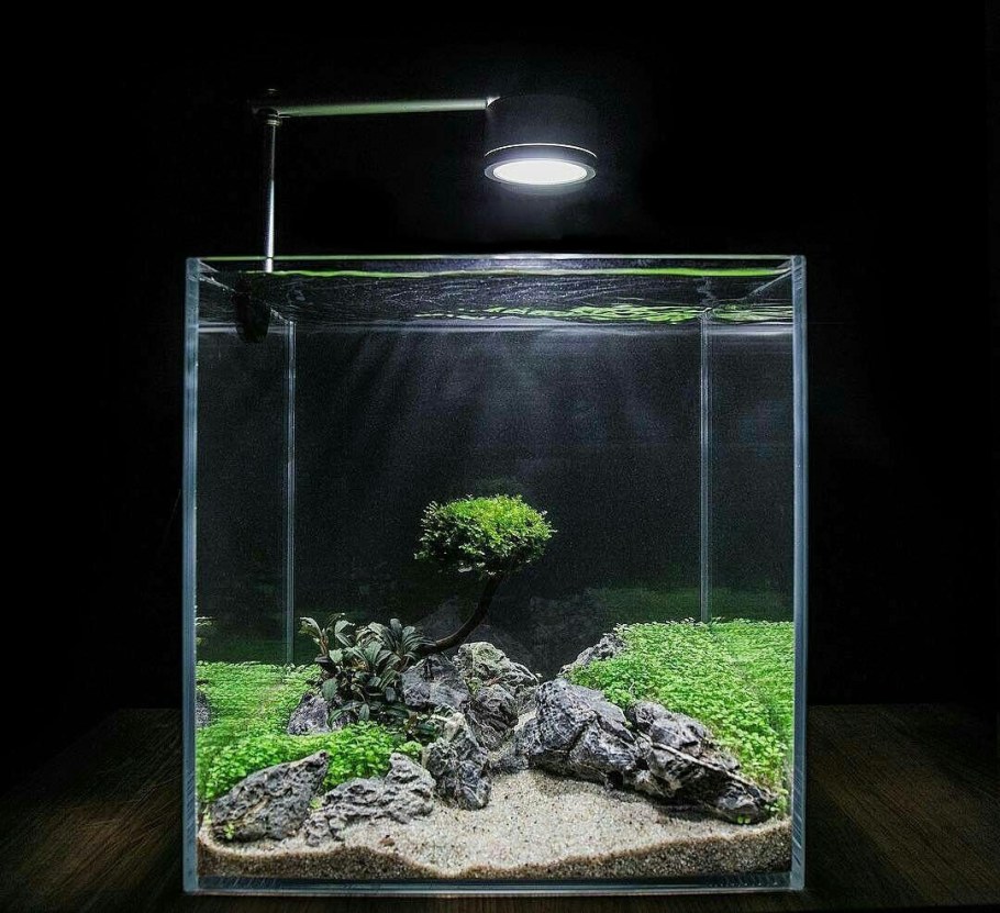 Акваскейп нано аквариума