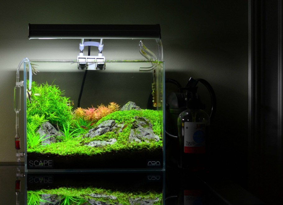 Акваскейпинг 20 л