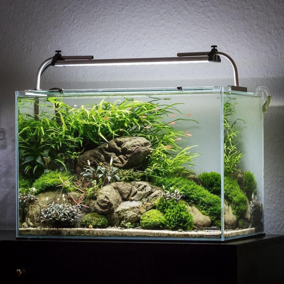 Аквариум Aquascape
