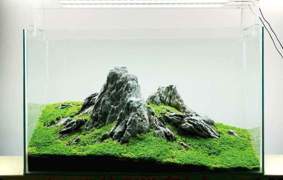 Ивагуми Такаши Амано