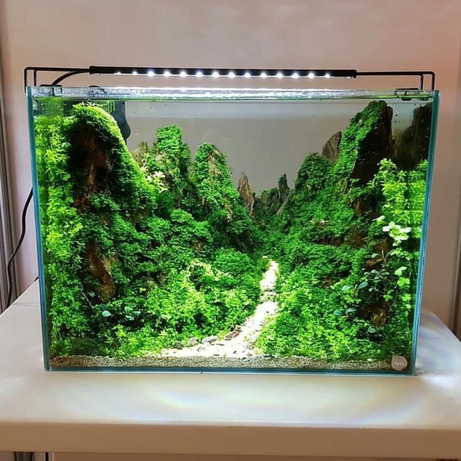 Нано акваскейп