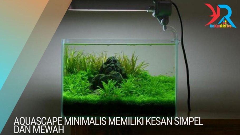 Акваскейпинг нано куб 30