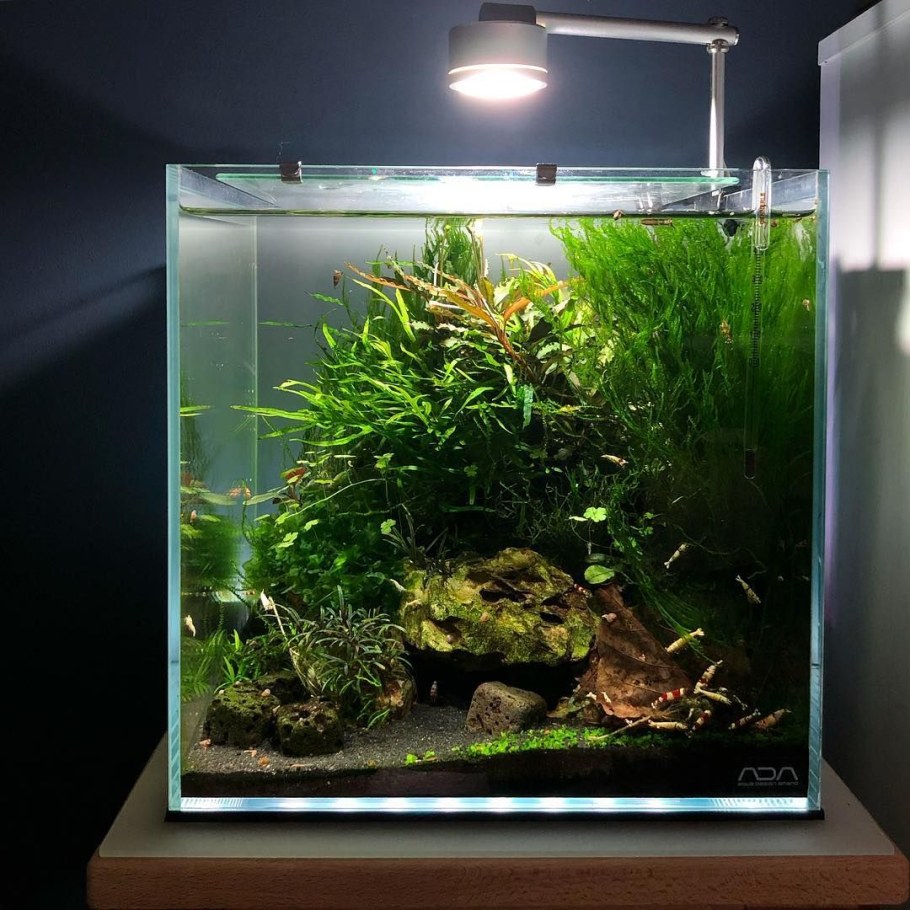 Аквариум куб Nano