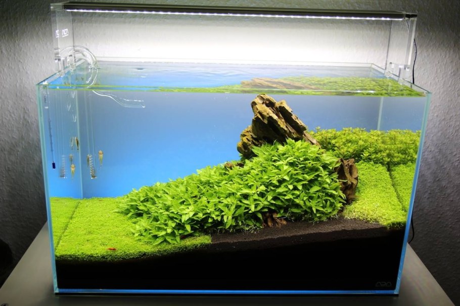 Акваскейпинг нано аквариумов