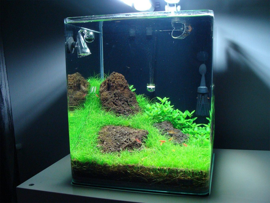 Нано акваскейп