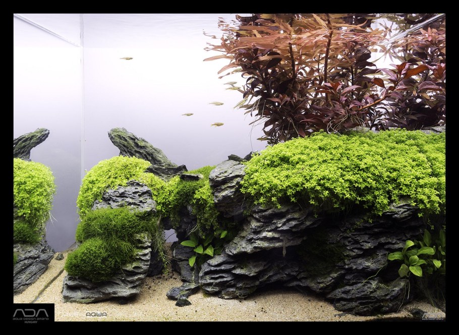 Акваскейп габбро диабаз