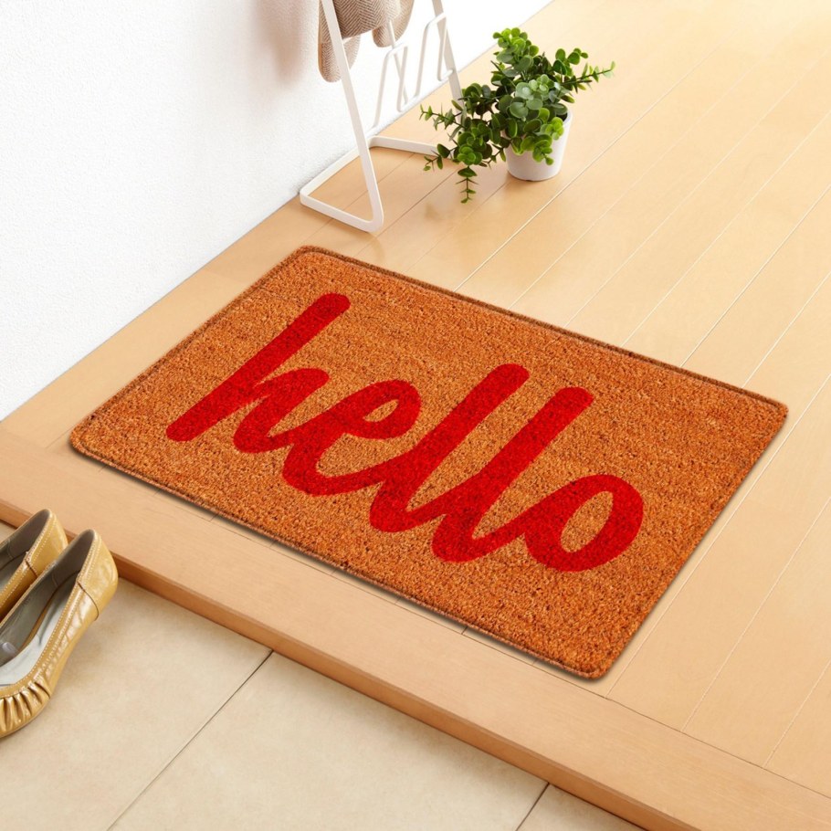 Entrance Floor mat