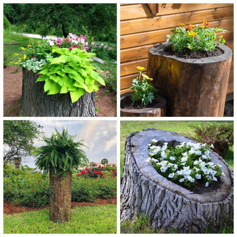 Клумба из пеньков