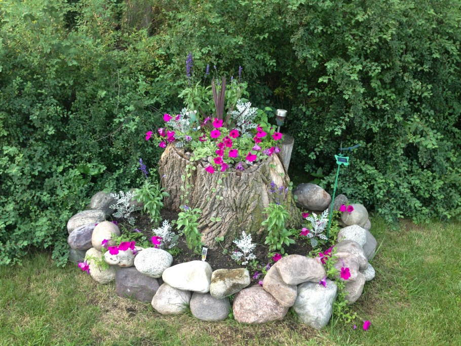 Композиция из пеньков в саду