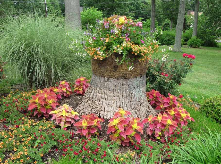 Необычные клумбы