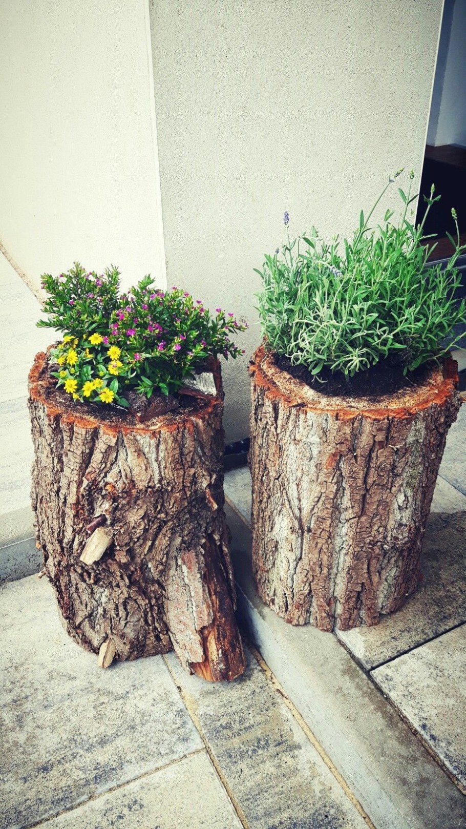 Пеньки для декора