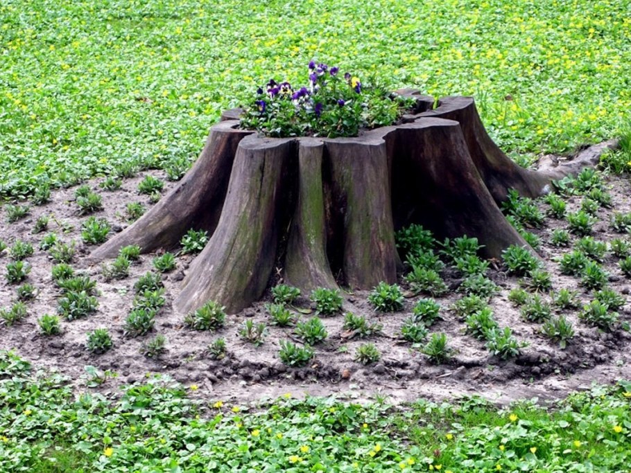 Украшение пня на даче
