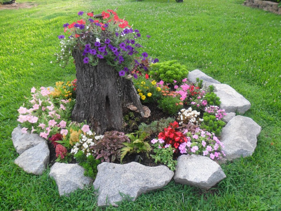 Клумба вокруг пня