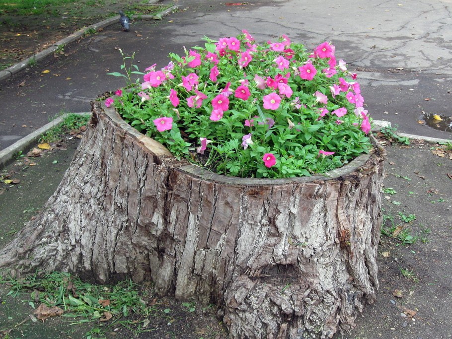 Украсить пень