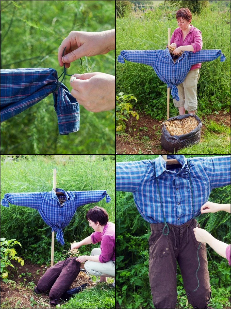 Чучело на огород