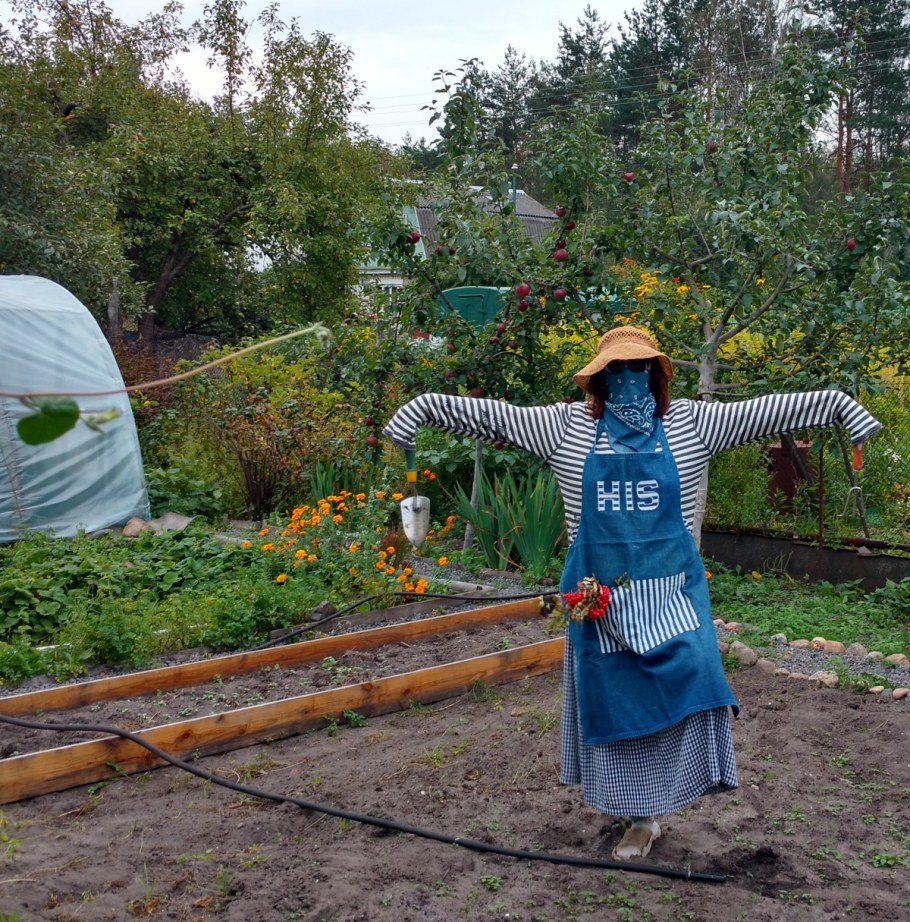 Чучело на огород