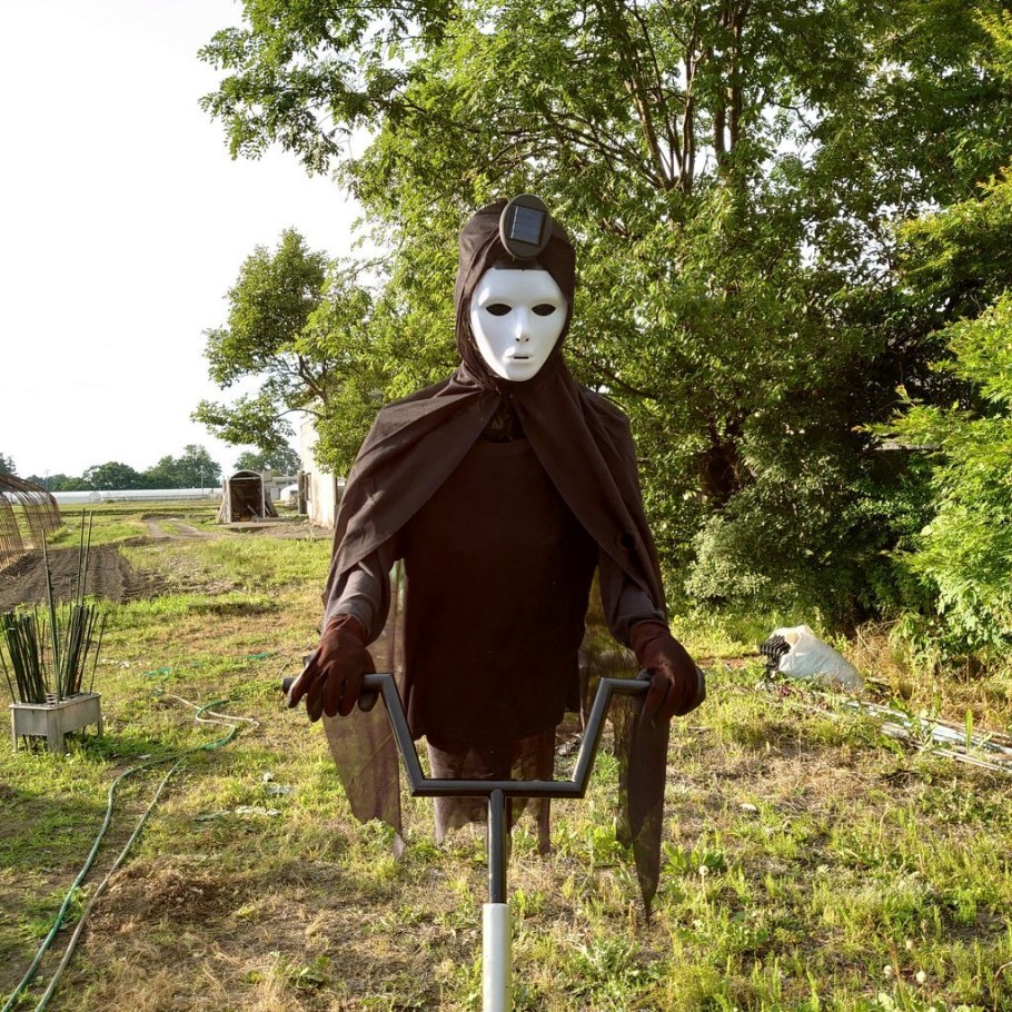 Чучело огородное