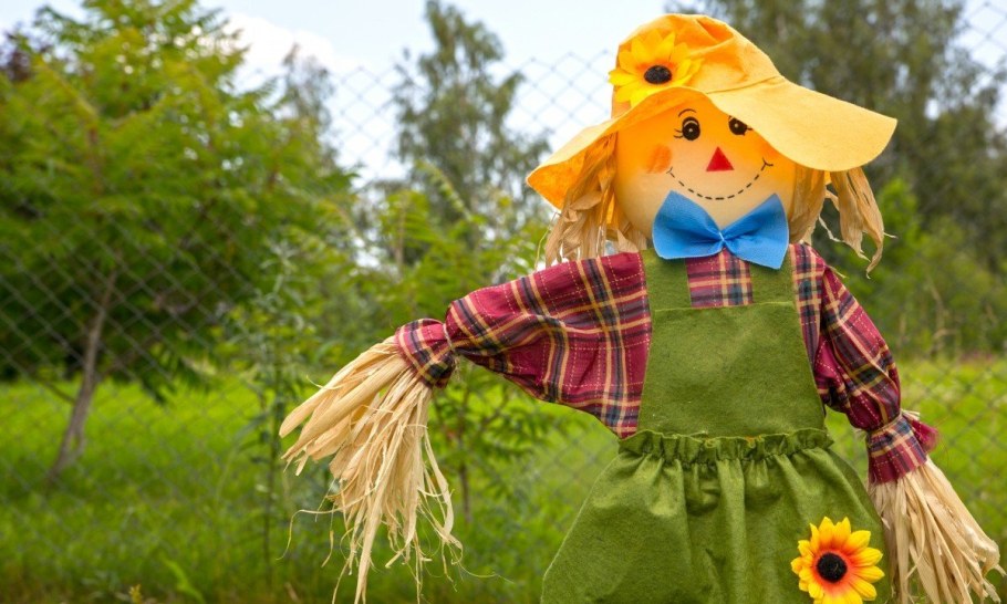 Пугало огородное