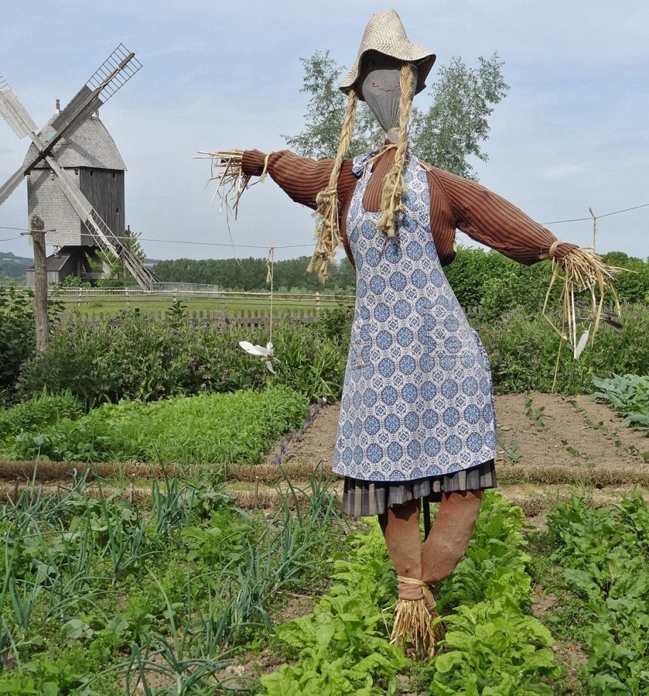 Прикольные пугало для огорода