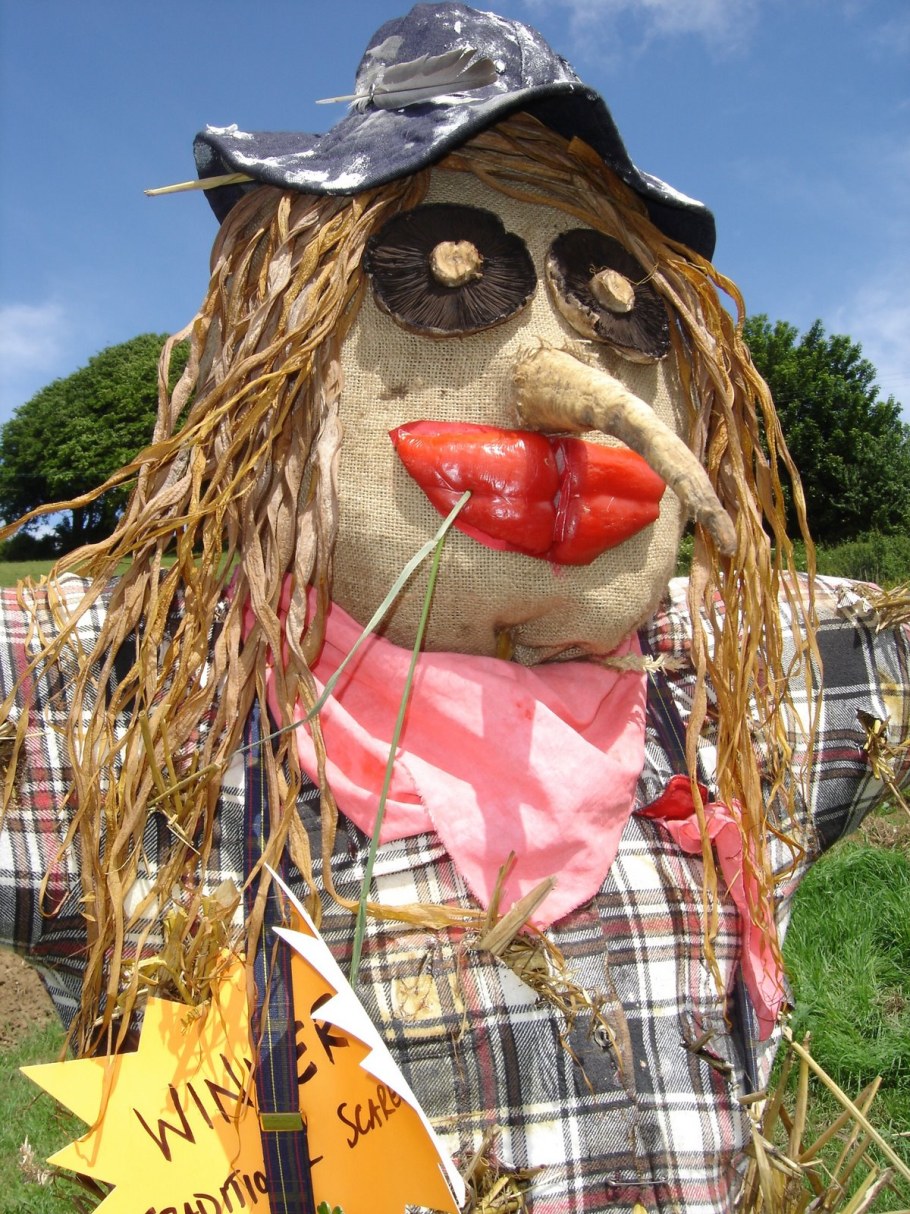 Чучело на дачу