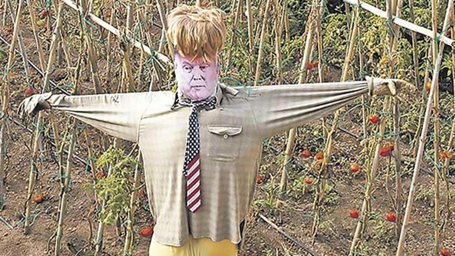 Пугало в огороде