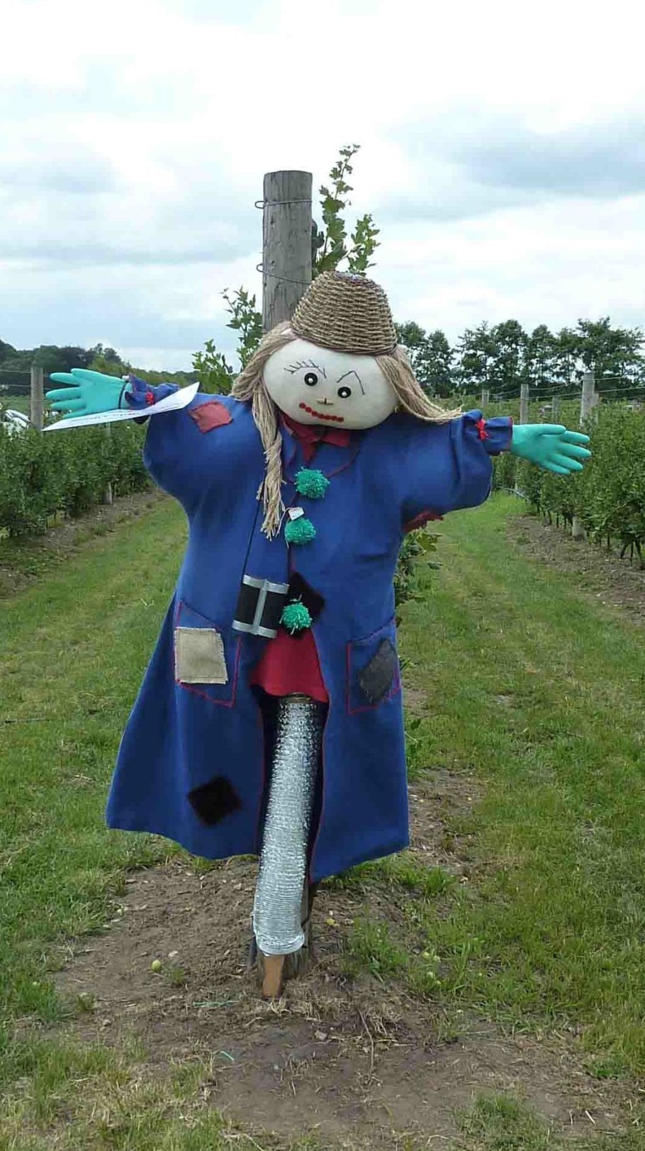 Пугало в огороде