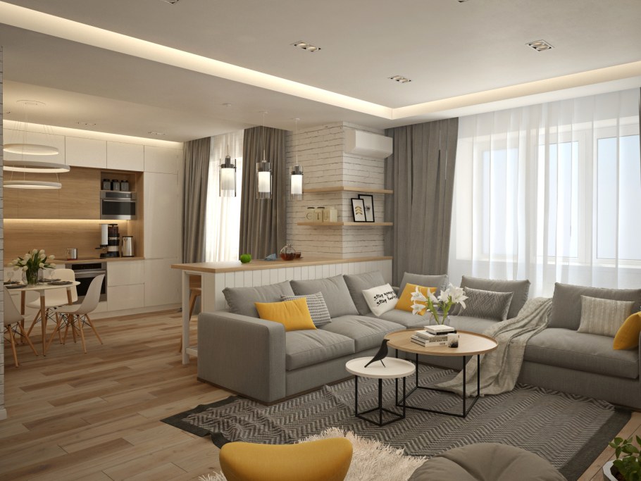 Интерьер кухни-гостиной в частном