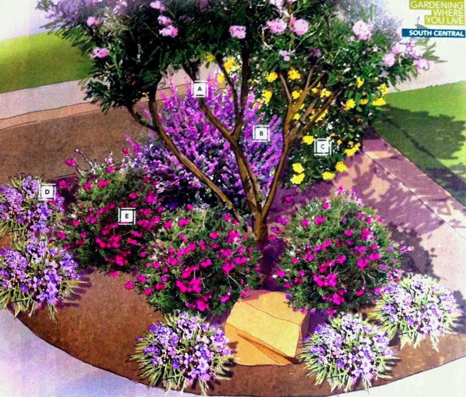 Яблоня Недзвецкого в миксбордере