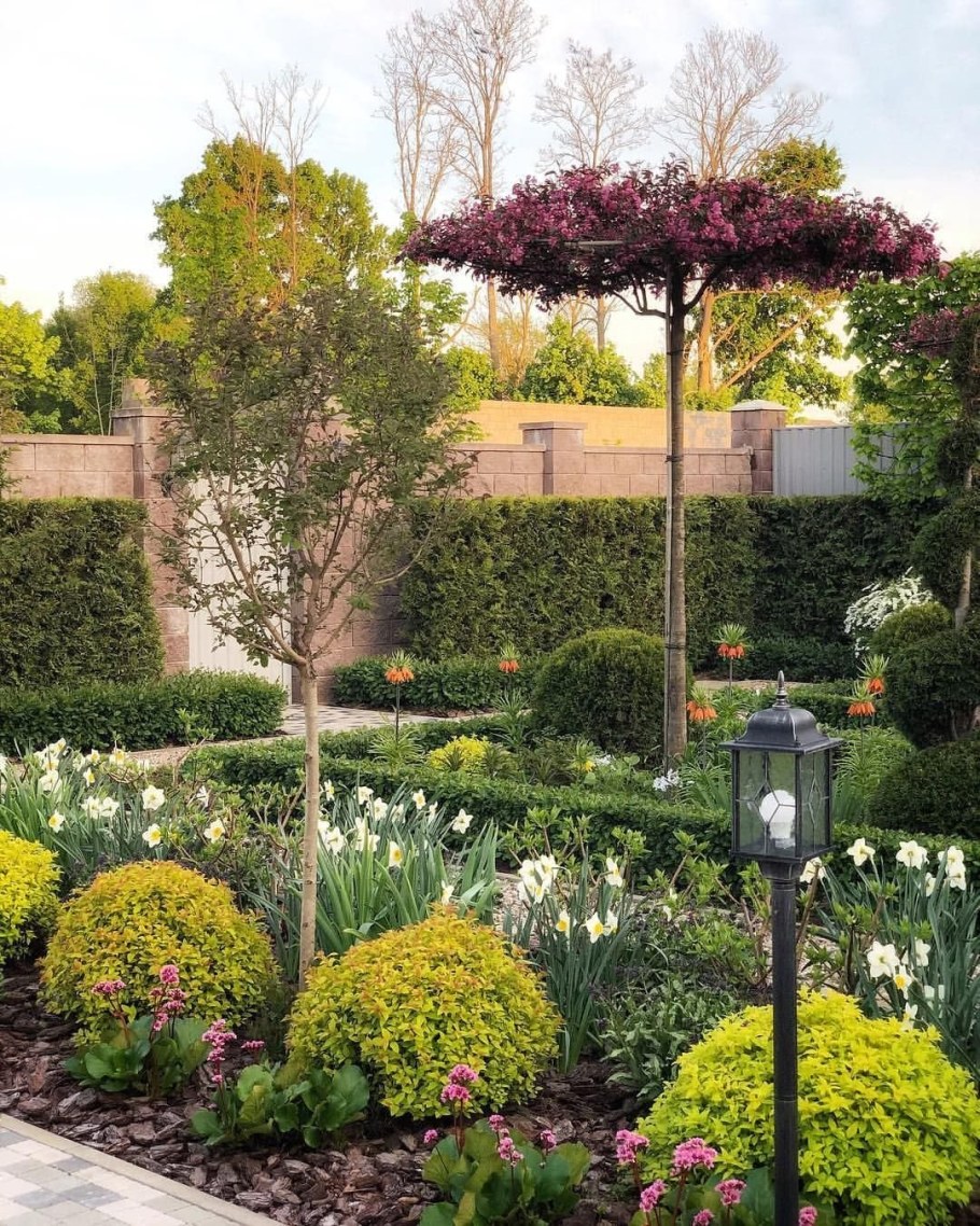 Гортензия Пинки винки миксбордер