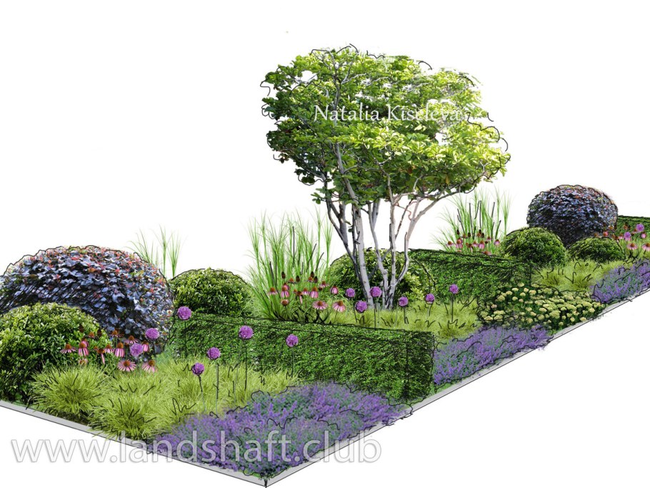 Композиция с сиренью в ландшафте