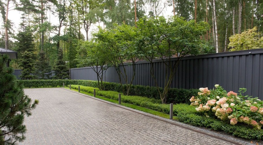 Дерен изгородь