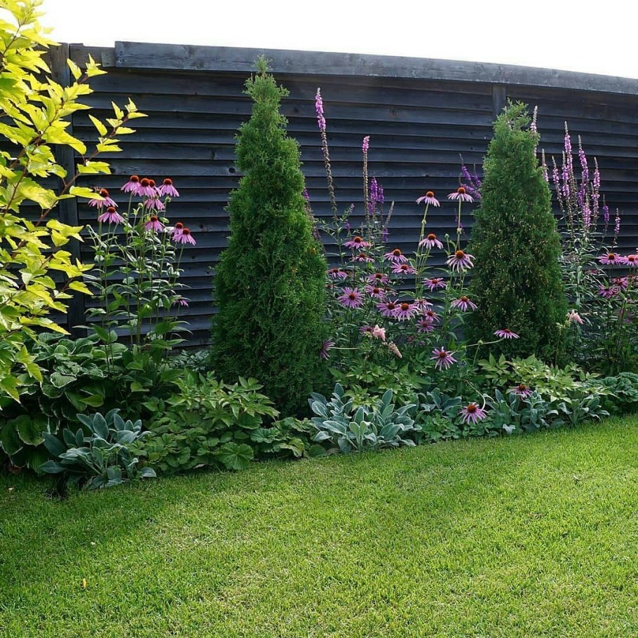 Миксбордер с туей Смарагд