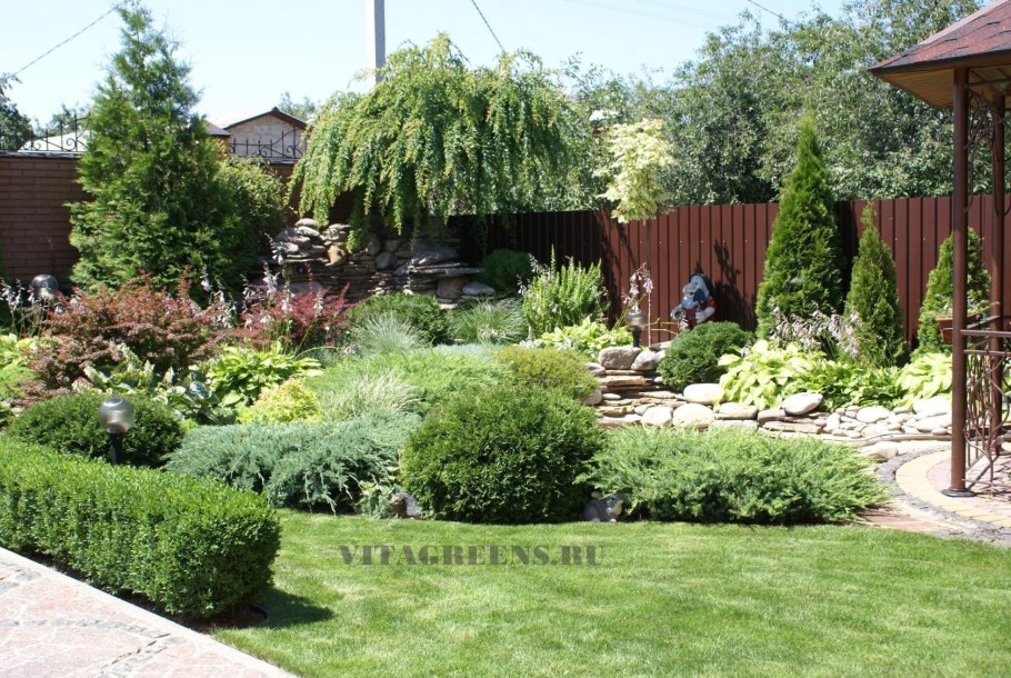 Миксбордер с туями