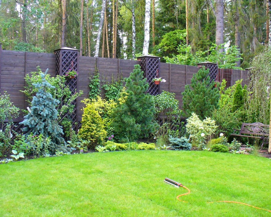 Миксбордер туя Барбарис