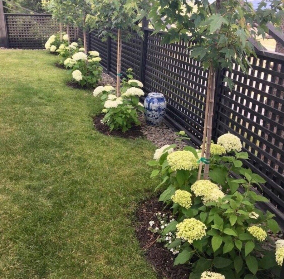 Калина бульденеж изгородь