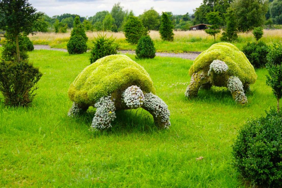 Топиар ландшафт