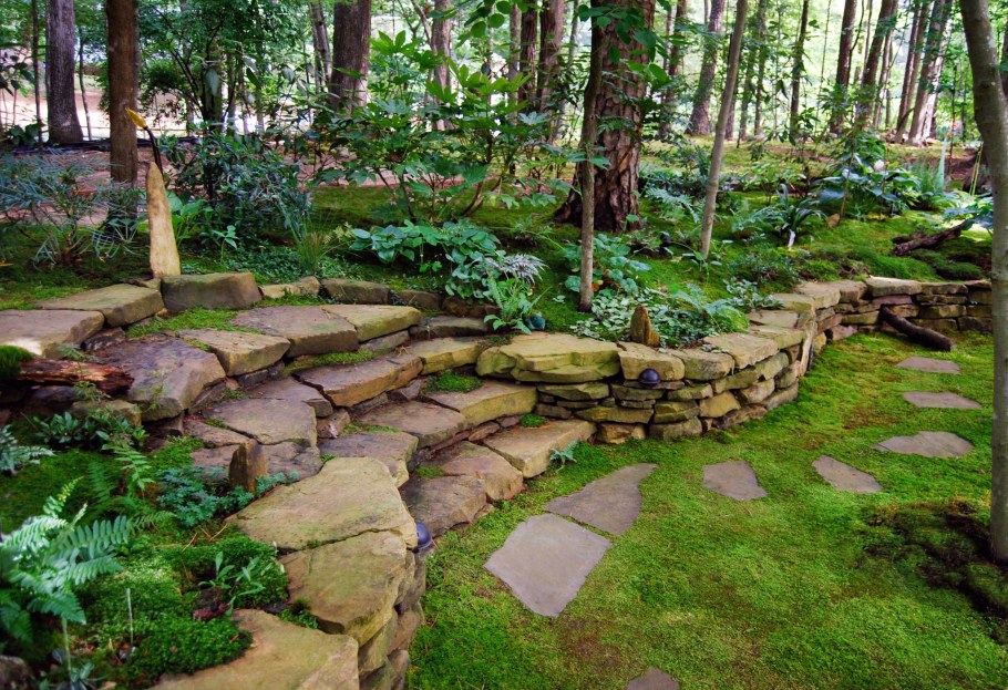 Ландшафт лесного участка