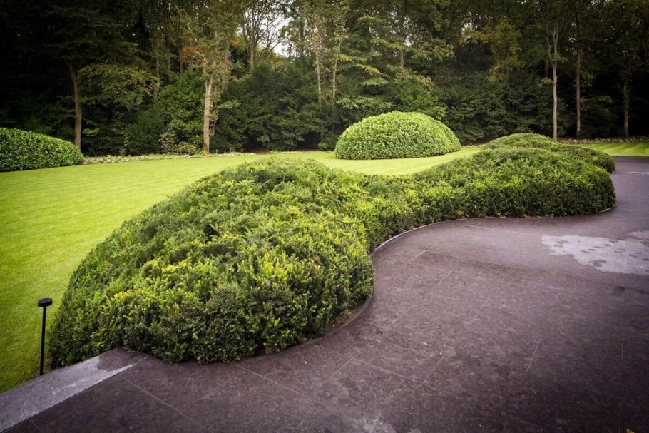 Спирея геопластика