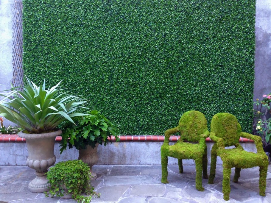 Декоративный мох для сада