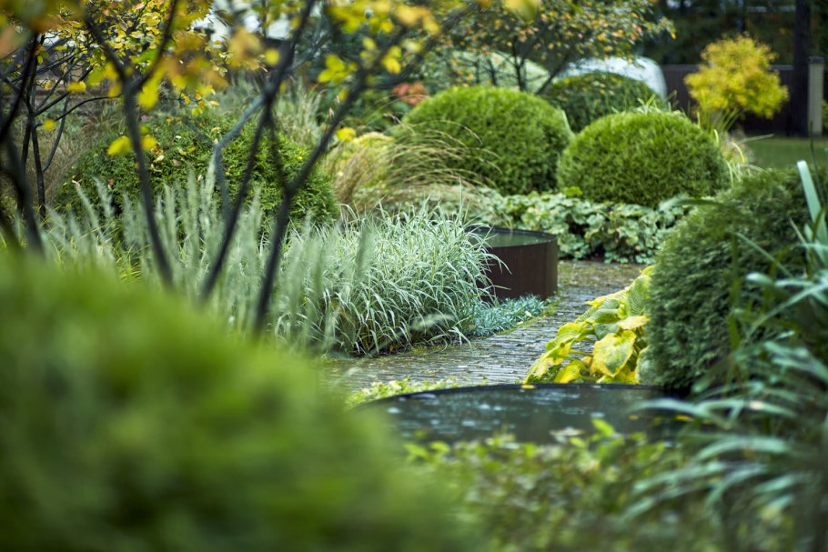 Ландшафтное бюро мох СПБ