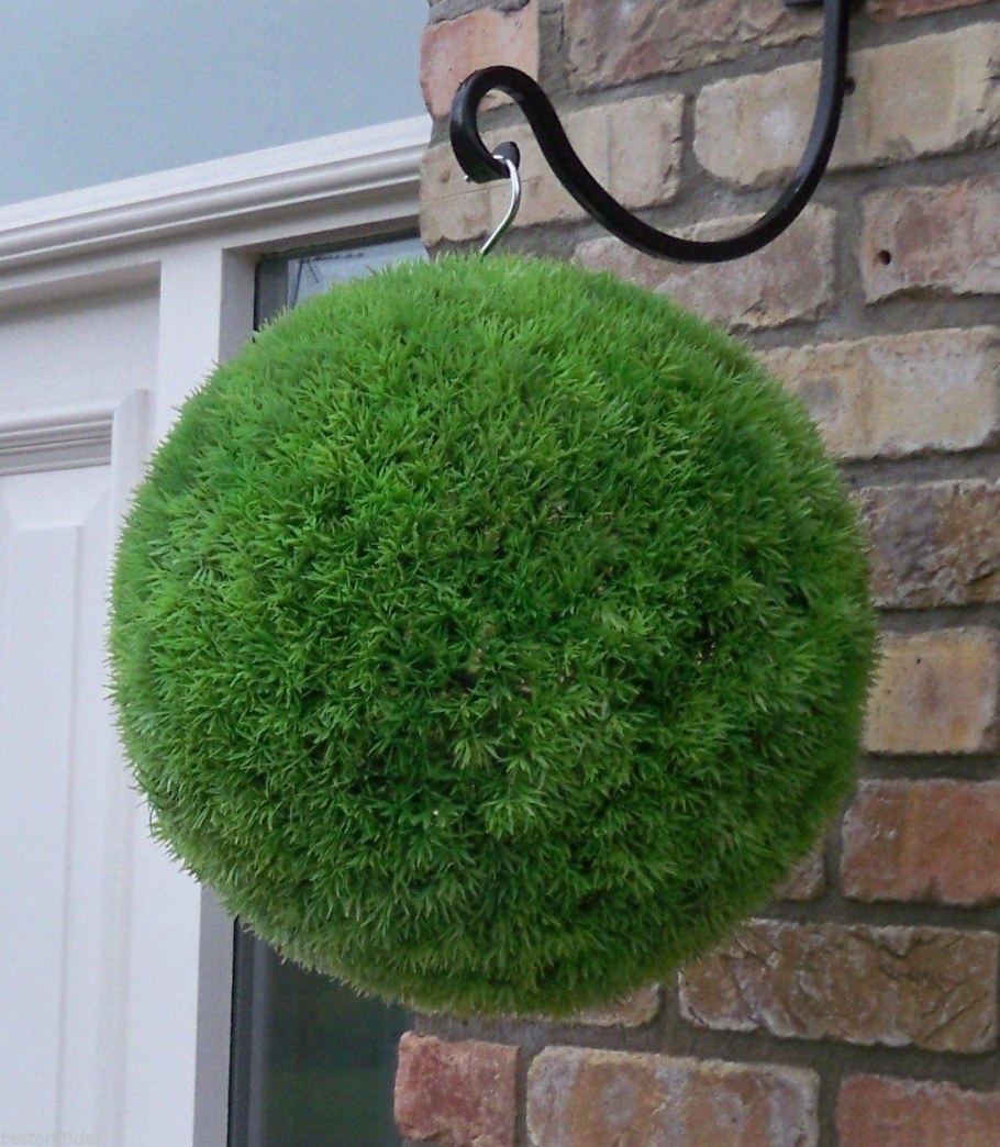 Мох декоративный Цветущий