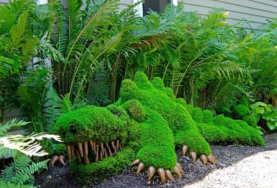 Папоротник и Хоста