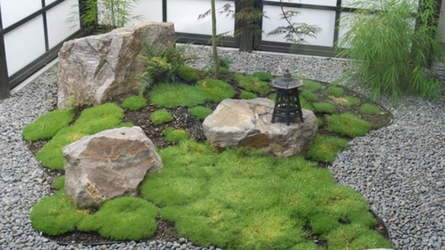 Сад камней и сад мхов Япония
